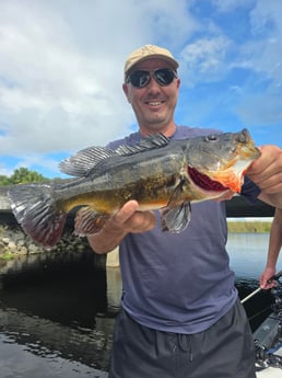 Fishing in Davie, Florida