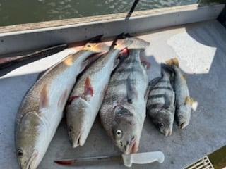 Fishing in St. Augustine, Florida