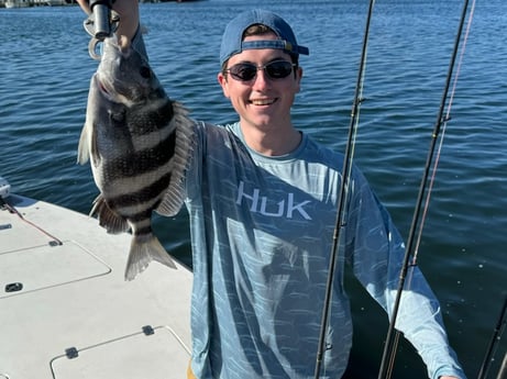 Sheepshead Fishing in Sarasota, Florida