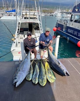 Yellowfin Tuna fishing in Kalaoa, Hawaii