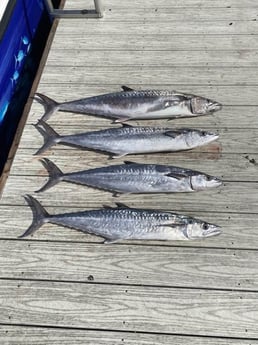 Fishing in Coconut Creek, Florida