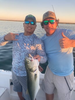Amberjack fishing in Rodanthe, North Carolina