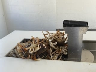 Fishing in Tillamook, Oregon