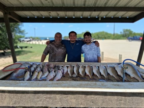 Blue Catfish, Redfish Fishing in