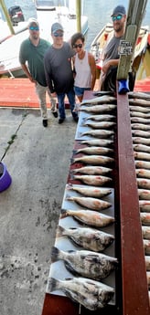 Largemouth Bass, Redfish fishing in Saint Bernard, Louisiana