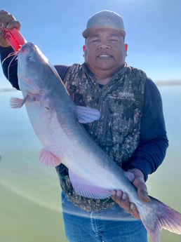 Blue Catfish Fishing in Dallas, Texas