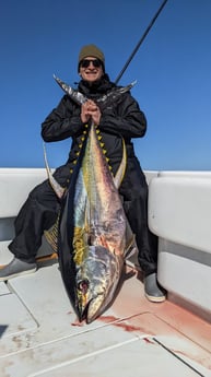 Yellowfin Tuna Fishing in Boothville-Venice, Louisiana