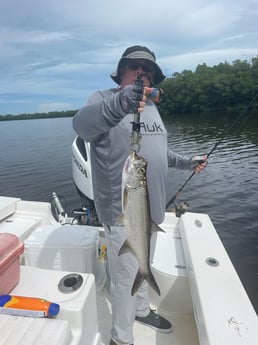 Fishing in Chokoloskee, Florida