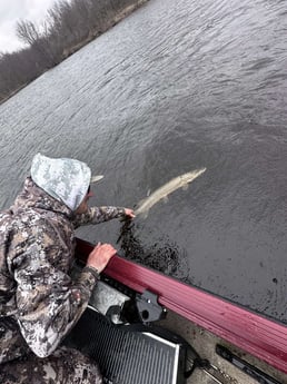 Fishing in Mosinee, Wisconsin
