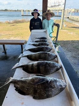 Fishing in Jacksonville, Florida