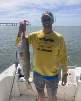 Redfish fishing in Wanchese, North Carolina