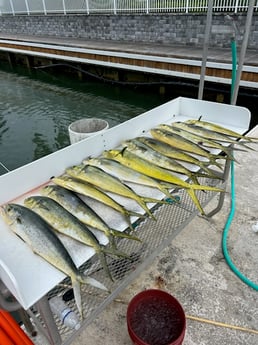 Fishing in Key West, Florida