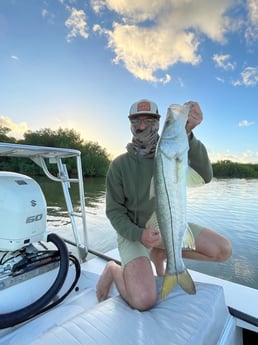 Snook Fishing in Layton Key, Florida