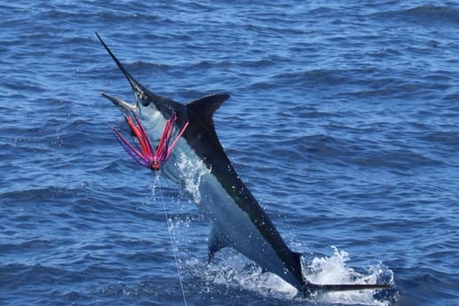 Fishing in Kailua-Kona, Hawaii