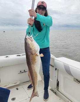 Redfish Fishing in Galveston, Texas