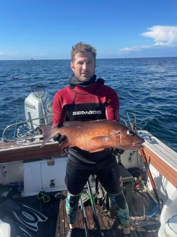 Fishing in Dauphin Island, Alabama
