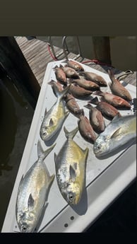 Fishing in Marco Island, Florida