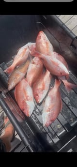 Fishing in Corpus Christi, Texas