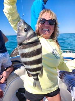 Sheepshead Fishing in Fort Myers Beach, Florida