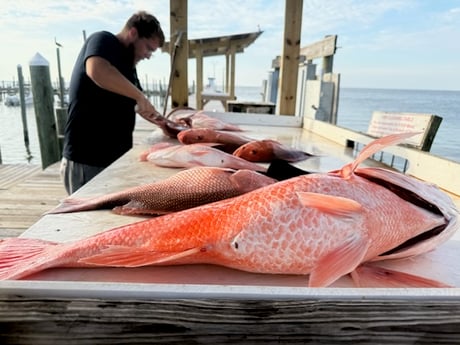 Fishing in Foley, Alabama