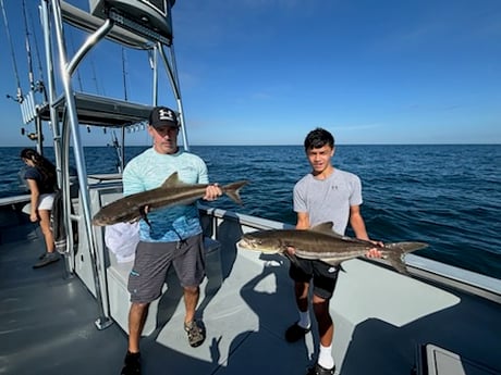 Fishing in Naples, Florida