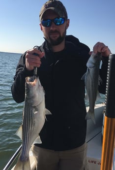 Striped Bass fishing in Pottsboro, Texas