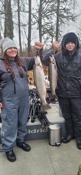 Steelhead Fishing in Montesano, Washington