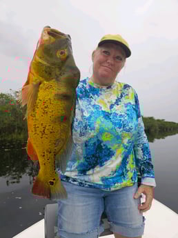 Fishing in Fort Lauderdale, Florida
