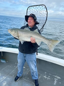 Striped Bass fishing in Barnstable, Massachusetts