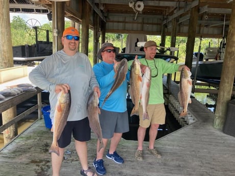 Redfish Fishing in Delacroix, Louisiana