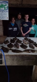 Fishing in Aransas Pass, Texas