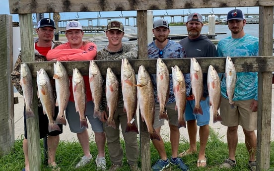 Redfish, Speckled Trout Fishing in Ingleside, Texas
