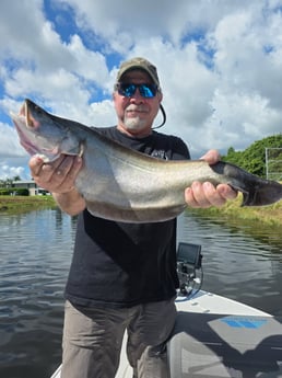 Fishing in Davie, Florida