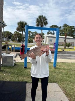 Fishing in Panama City Beach, Florida
