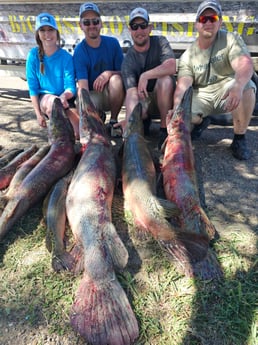 Fishing in Houston, Texas