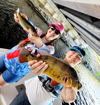 Largemouth Bass, Peacock Bass Fishing in Delray Beach, Florida
