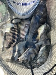 Fishing in St. Augustine, Florida