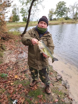 Largemouth Bass Fishing in Coldspring, Texas