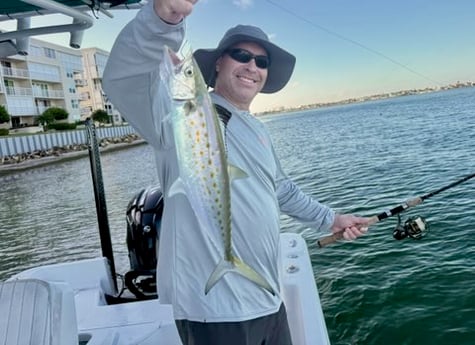Fishing in St. Petersburg, Florida