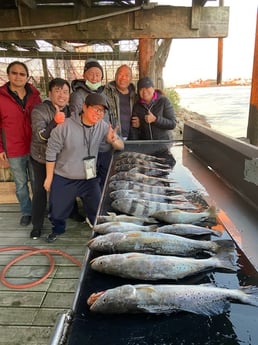 Fishing in Surfside Beach, Texas