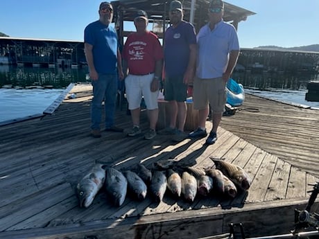 Fishing in Rogers, Arkansas