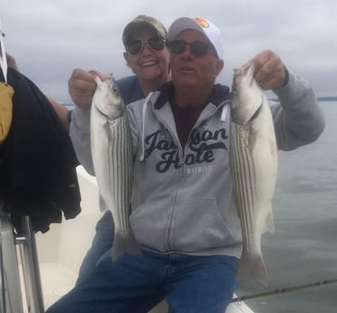 Striped Bass fishing in Pottsboro, Texas