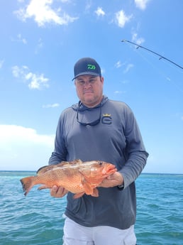 Fishing in Dorado, Puerto Rico