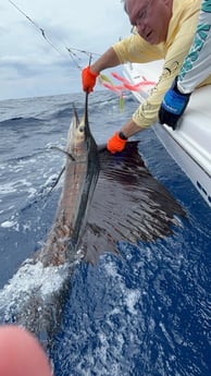 Fishing in Quepos, Costa Rica