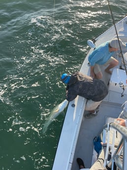 Tarpon Fishing in Naples, Florida