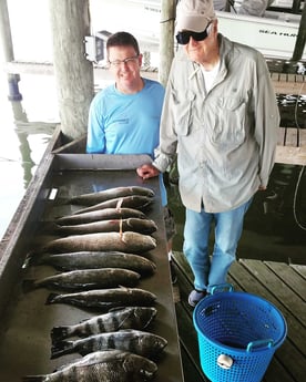 Black Drum, Redfish, Speckled Trout / Spotted Seatrout fishing in San Leon, Texas