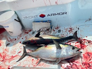 Fishing in St. Petersburg, Florida