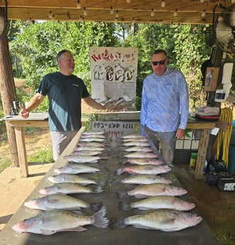 Crappie Fishing in Grenada, Mississippi