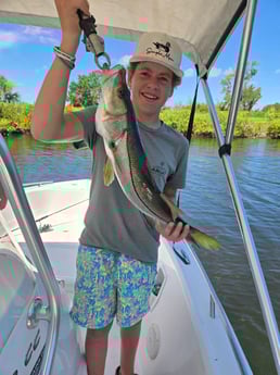 Fishing in Lakeland, Florida