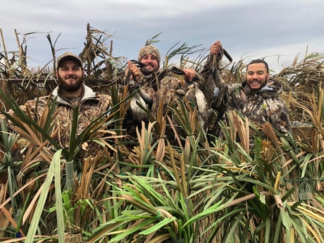 Fishing in Saint Bernard, Louisiana